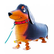 AW Dachshund