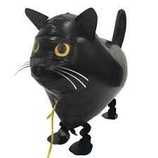 AW cat black