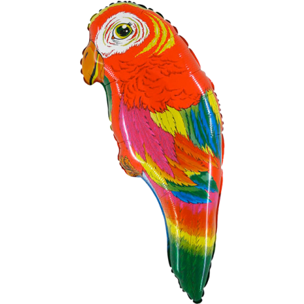 Parrot