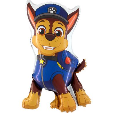 Paw Patrol Chase