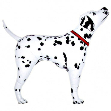 Dalmatian