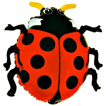 Ladybug